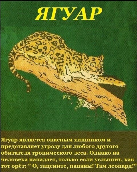 Картинки с глубочайшим жизненным смыслом. Часть третья