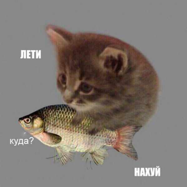 Приколы в стиле "регресс"
