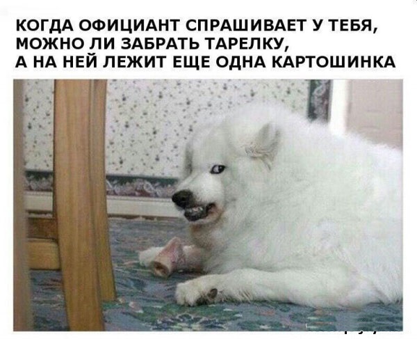 Просто юмор 12
