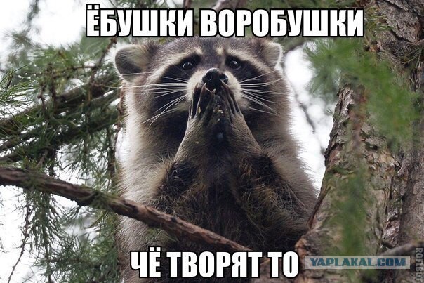 Женщины в интернете