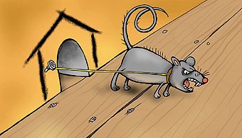Итоги проверки пользователей