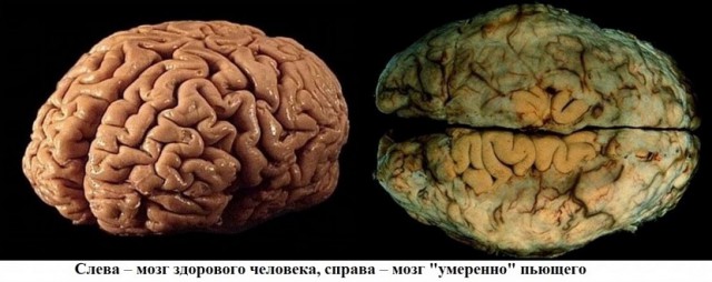 Что происходит с алкоголем в организме?