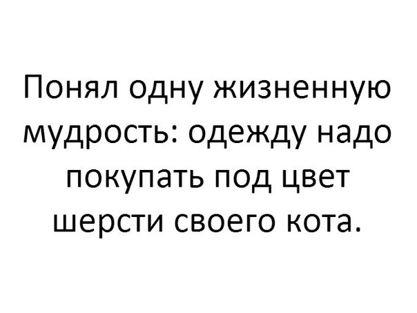 Немного картинок в этот четверг