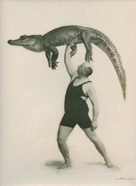 История в фотографиях