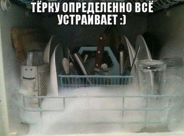 12542643.jpg