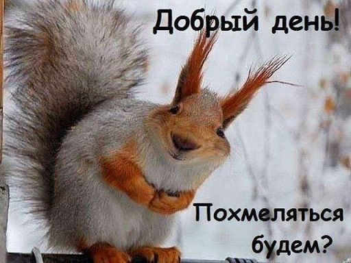 Когда хочет отжать хатку, но не знала, что муж снимает на видео.