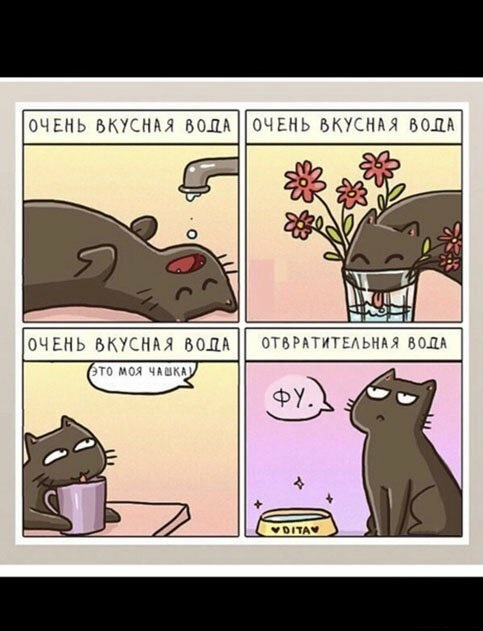 Анекдоты, соц-сети и картинки с надписями