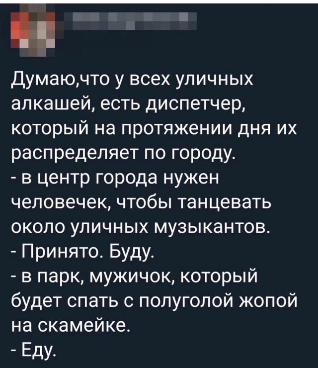 Бабы забухали