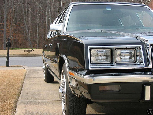 Игра на ЯПе: Угадай АВТО-2