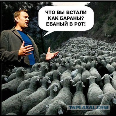 Почему новое поколение выходит протестовать?