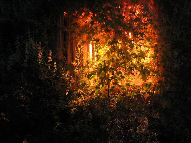 Вечер свет в окне. Осенний сад ночью. Осень ночь окно. Осенние огоньки. Домик осенью ночью.