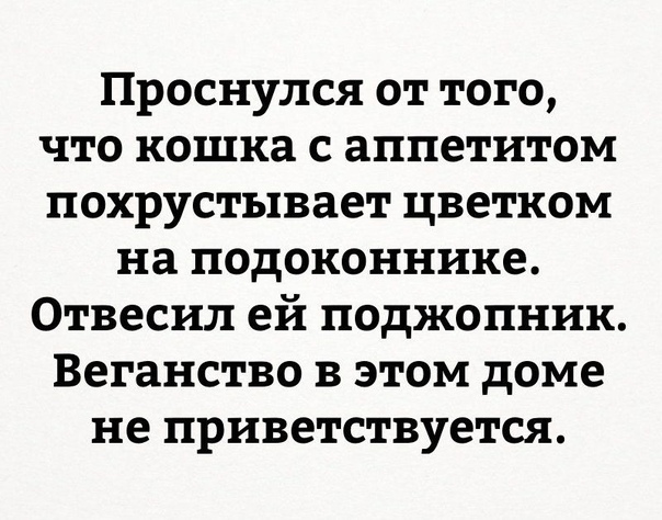 Бредзона 10.01.2020