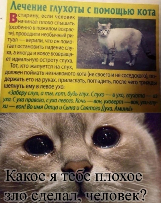 Бредзона 07.05.2020