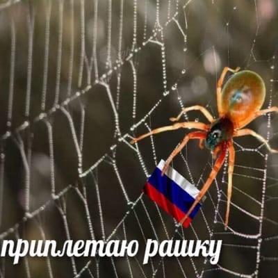 Новый флаг США