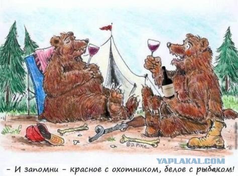 Лучше любого ресторана