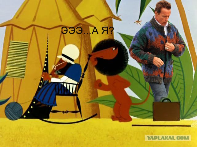 Классная кофточка, Арни!