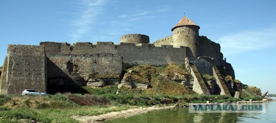Бургундский крест против креста Святого Георгия