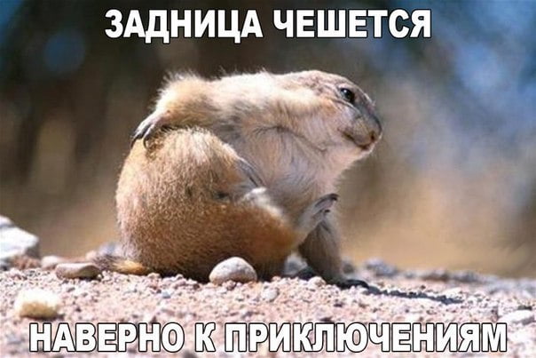 Как Иру замучил слишком правильный муж