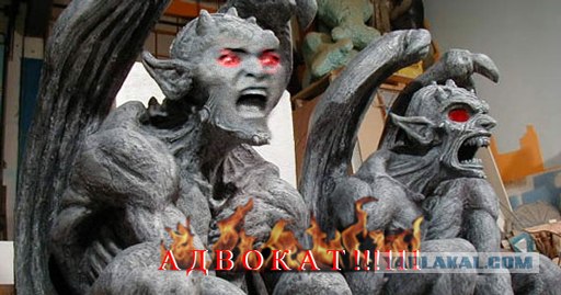 Товарищ адвокат!