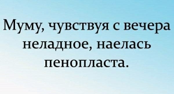 Мадам и месье бонжур