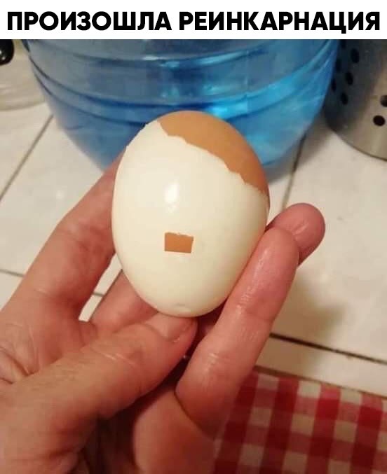 Всякая всячина