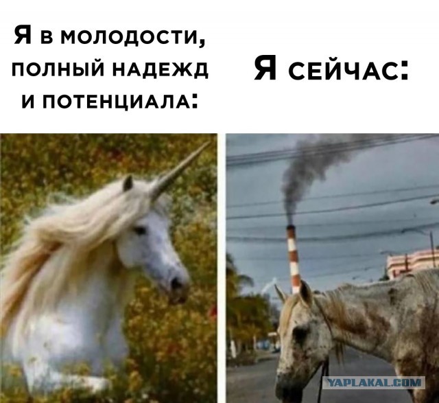 Я живу в "Что делать, если все заебало"