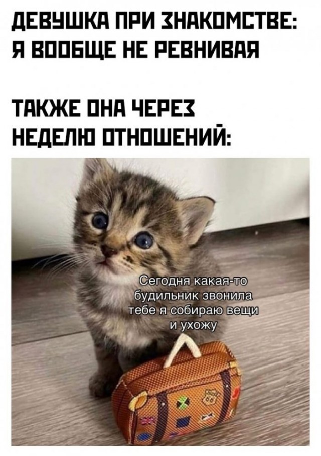 Картинки и мемы для настроения 23.06.2021