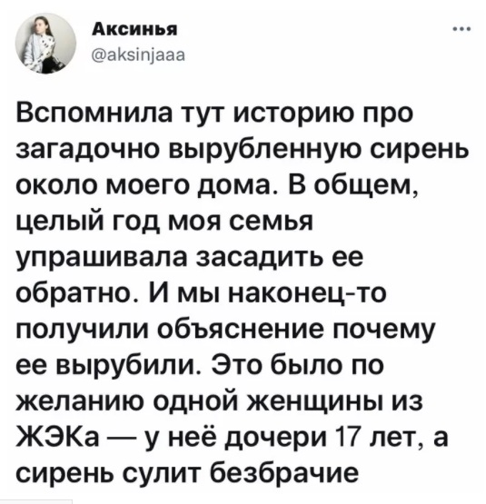 Картинки 07.11.21