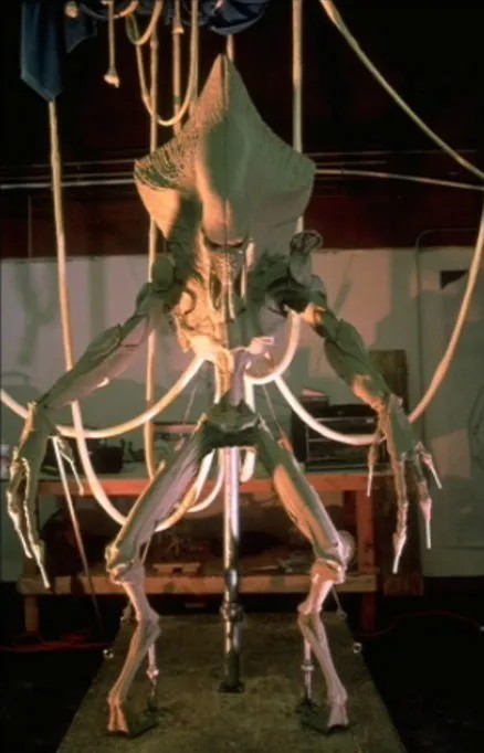 Фото со съёмок фильма: "День независимости", 1996