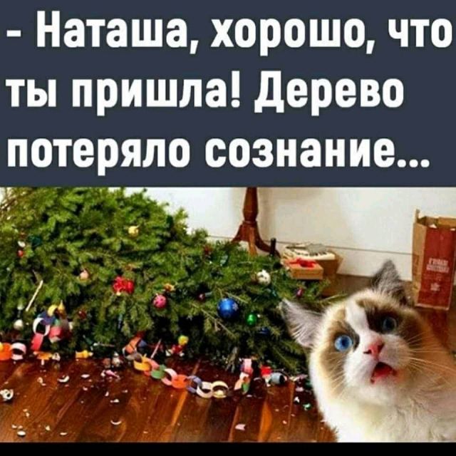 Картинки и буквы 15.07.22