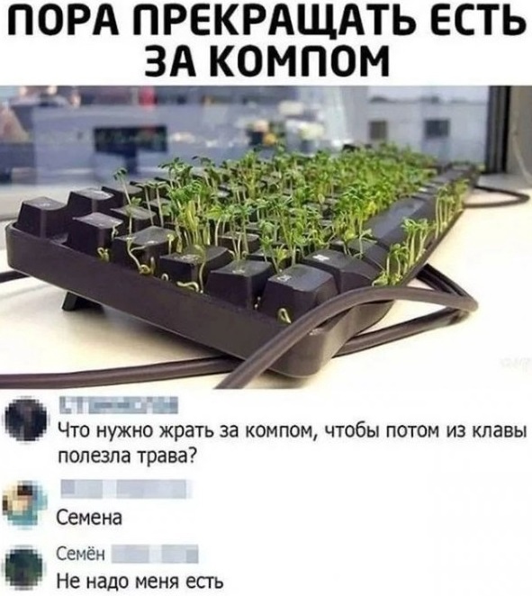 Так себе картинки 11.04.22
