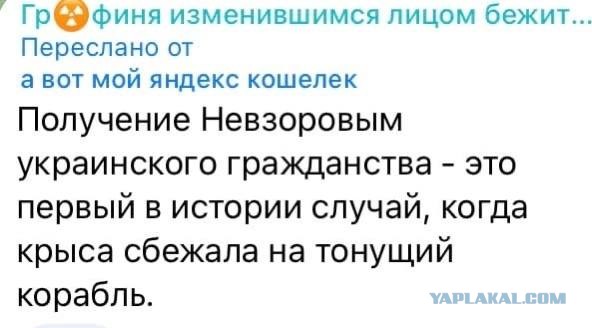 У Невзорова новый паспорт