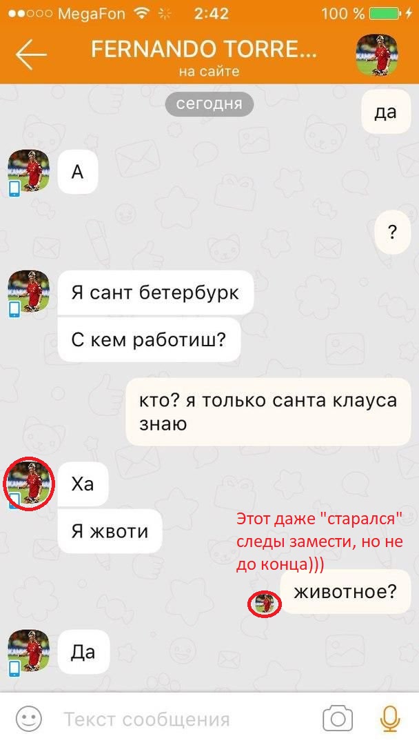 Южане в поисках любви