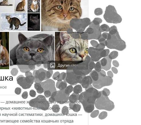 Пасхалка из Google