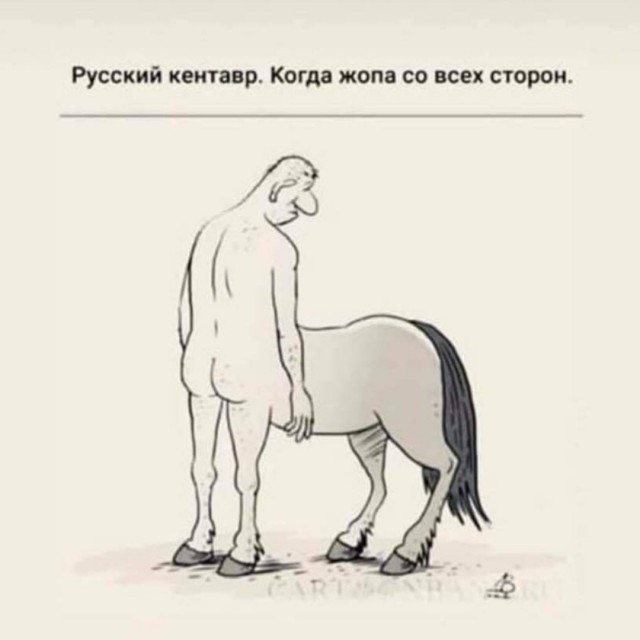 Так себе картинки 22.11.22