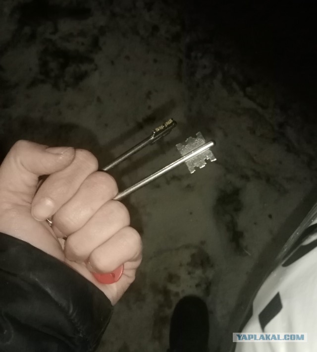Атака собаки отбита