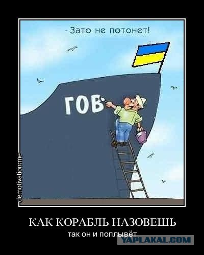 Для крыс это нормальное поведение