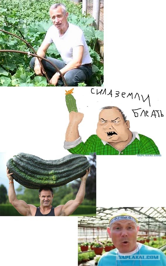 Скорей бы лето!