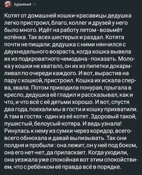 Картинки и мемы, всяко - 169