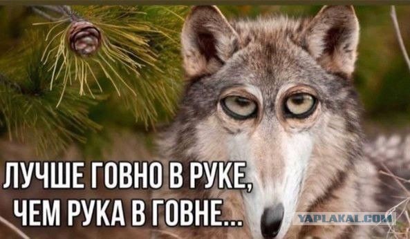 Правильное мнение: Отличие баб от женщин