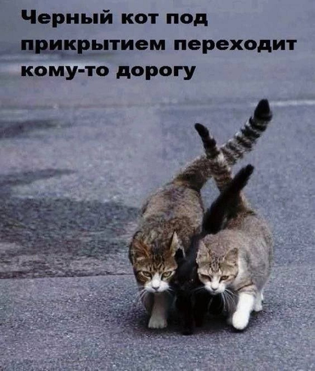 Картинки и мемы, всяко разно - 181
