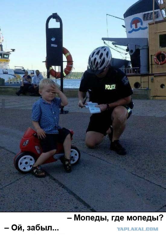 Подборка интересных и веселых картинок