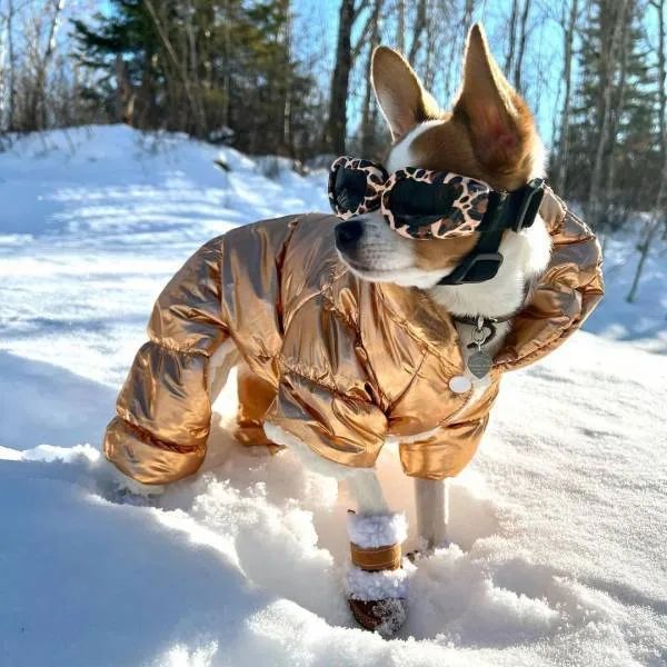 ФотоВинегрет из 50 пикч
