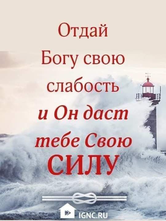 Прикольные и просто красивые картинки 23.08.2024