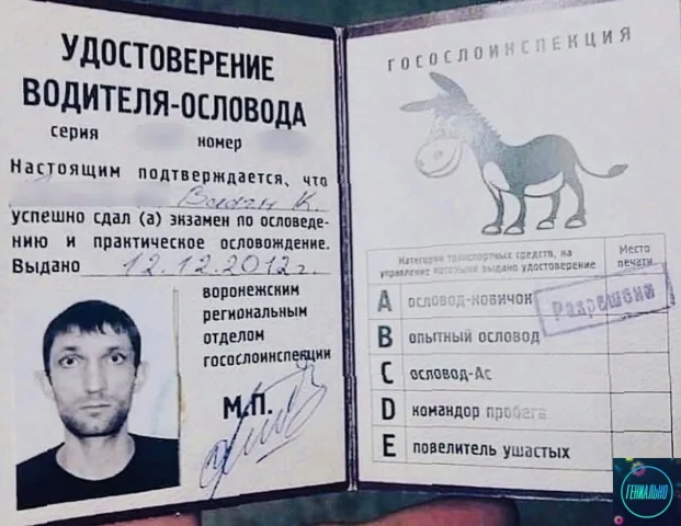 В Магаданской области власти отчитались об успехах после запрета мигрантам работать водителями!