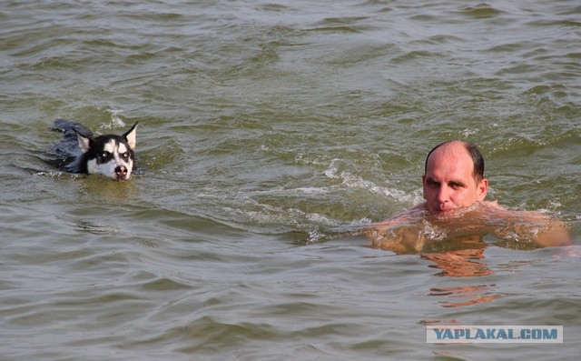 Человек и собака