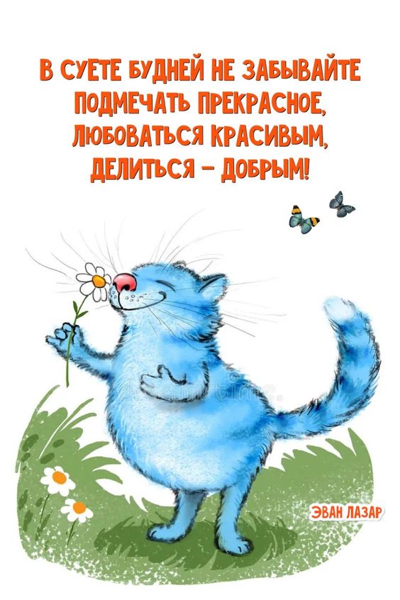 Прикольные и просто красивые картинки 29.10.2024