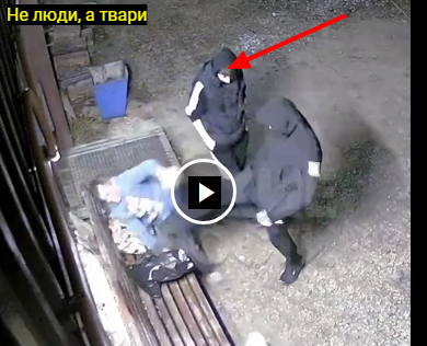 Не люди, а твари