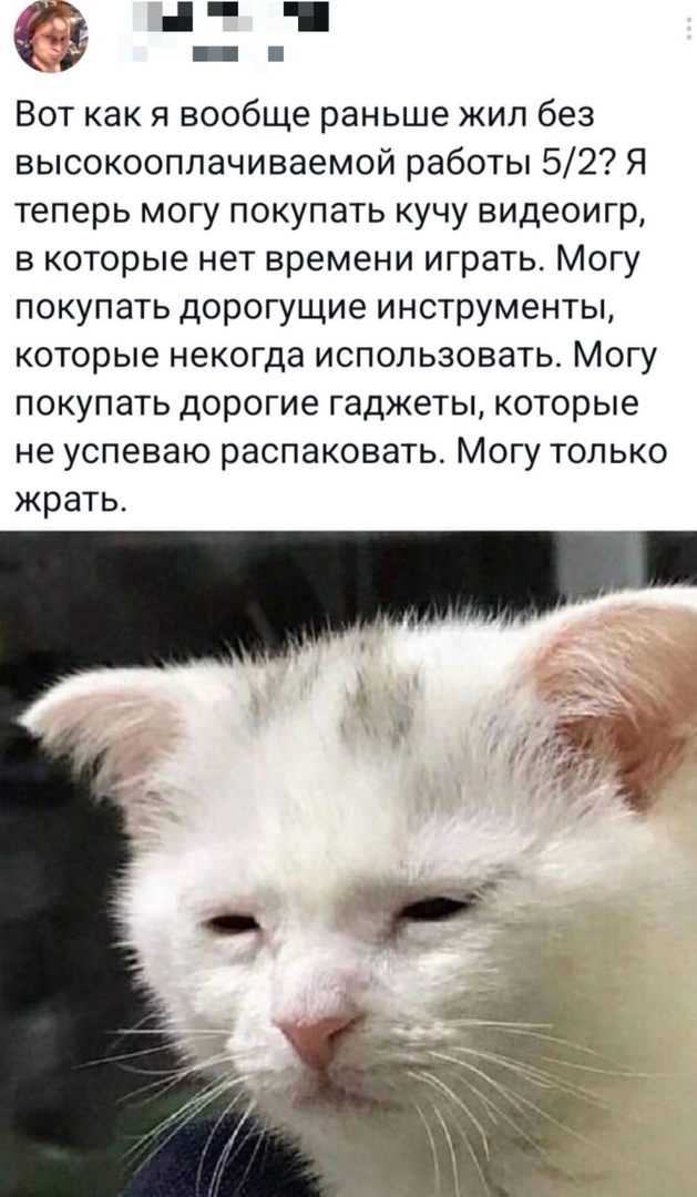 Так себе картинки 31.05.25