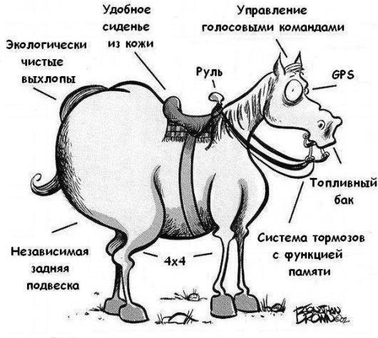 Немного картинок есть у меня на пятницу.